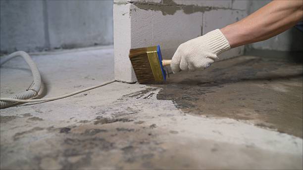 SJ Waterproofing Pros Waterproofing coverage map for Newaygo, MI and surrounding area